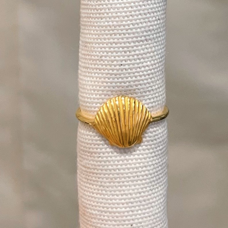 PREORDER Muschel Ring ✨ vergoldet - Tropical Tribe
