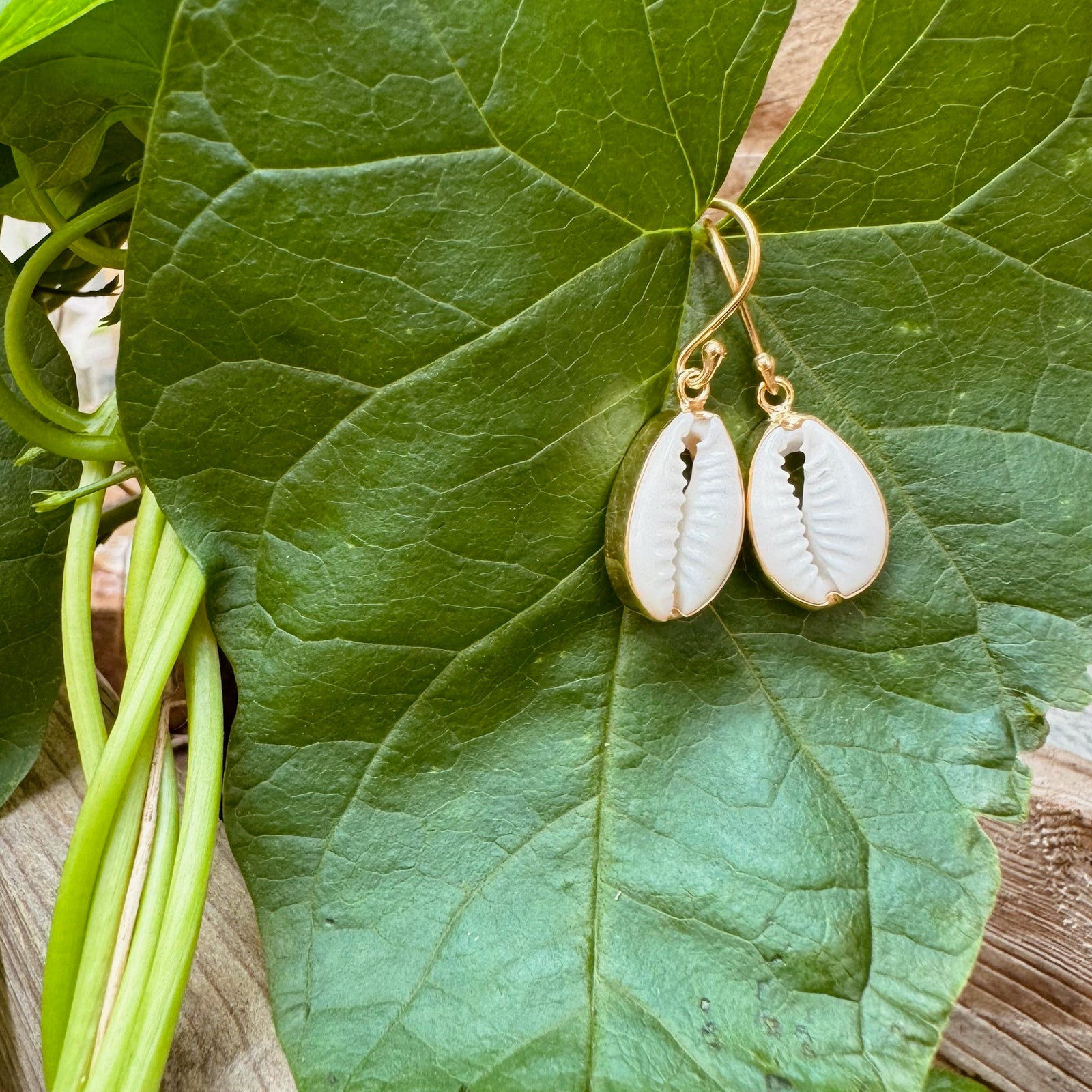 Cowrie Muschel Ohrhänger ✨ vergoldet - Tropical Tribe