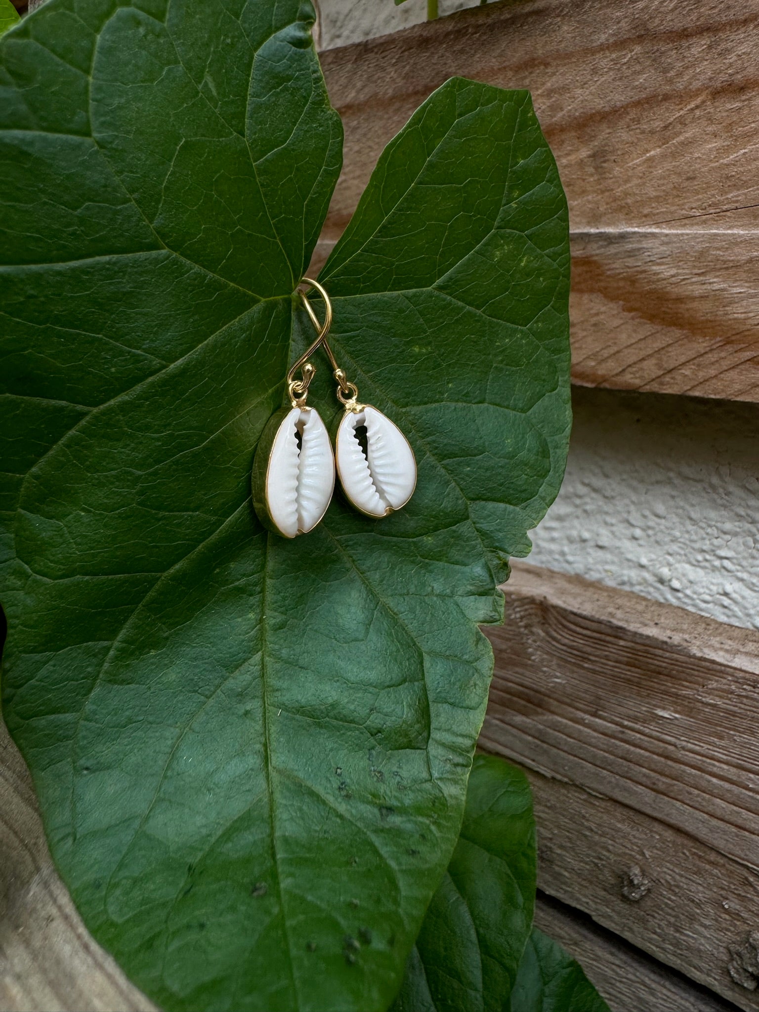 Cowrie Muschel Ohrhänger ✨ vergoldet - Tropical Tribe