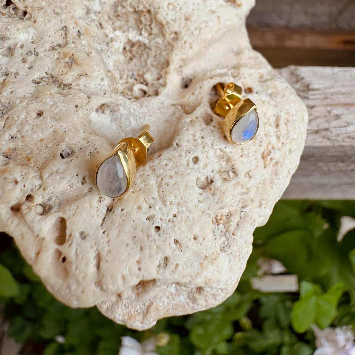 Tropfenförmiger Mondstein Ohrstecker ✨ vergoldet - Tropical Tribe