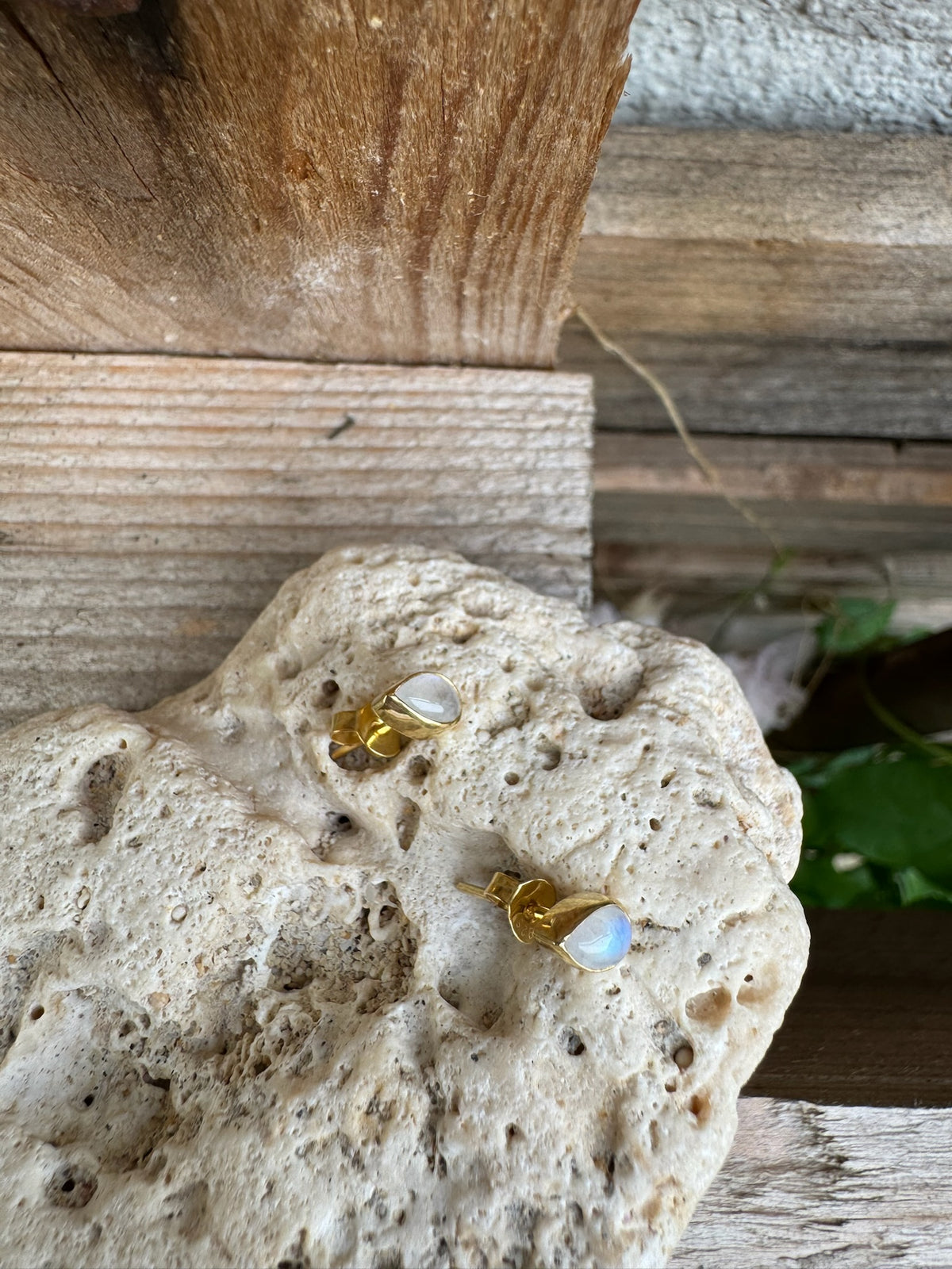 Tropfenförmiger Mondstein Ohrstecker ✨ vergoldet - Tropical Tribe