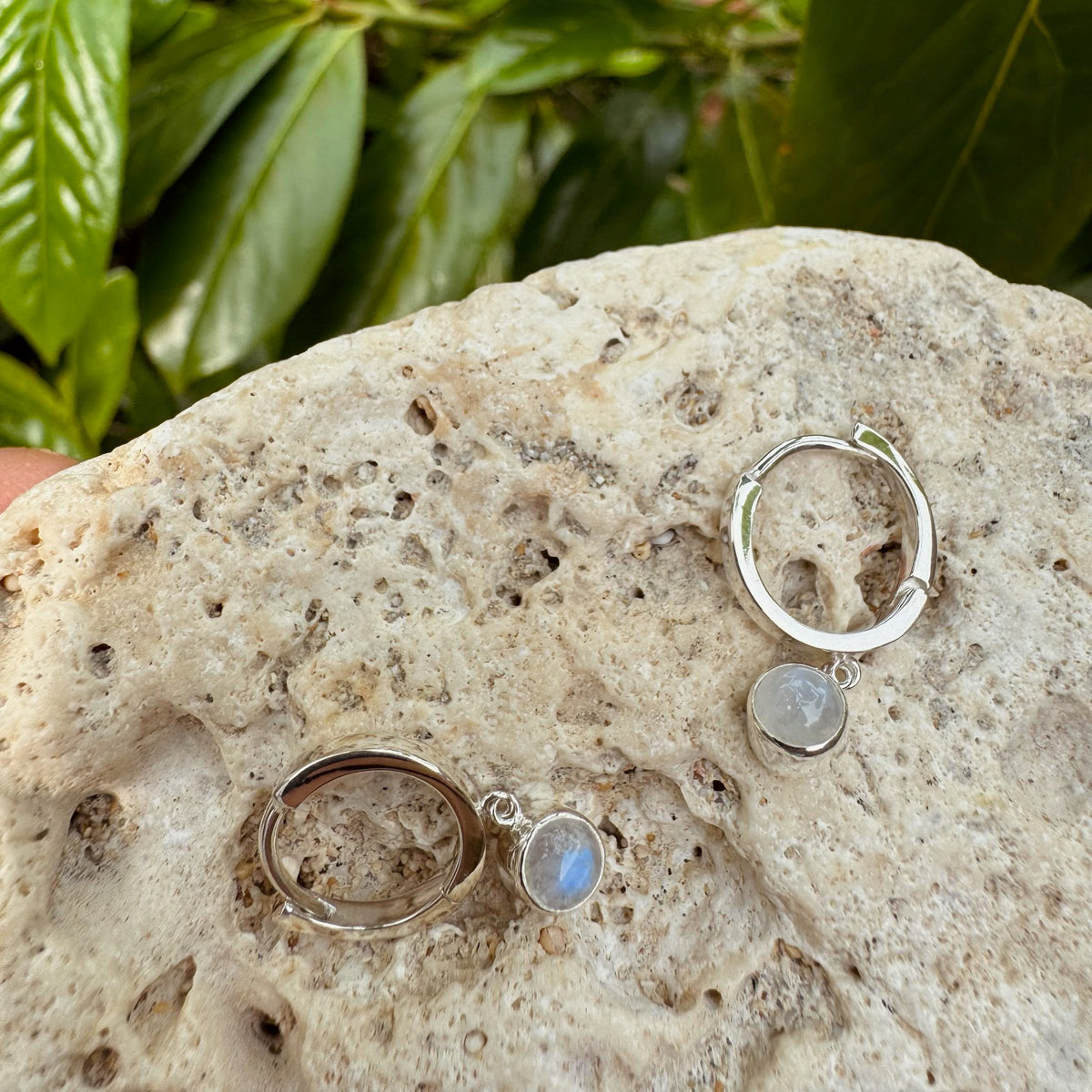 Wunderschöne Creole mit Mondstein - Tropical Tribe