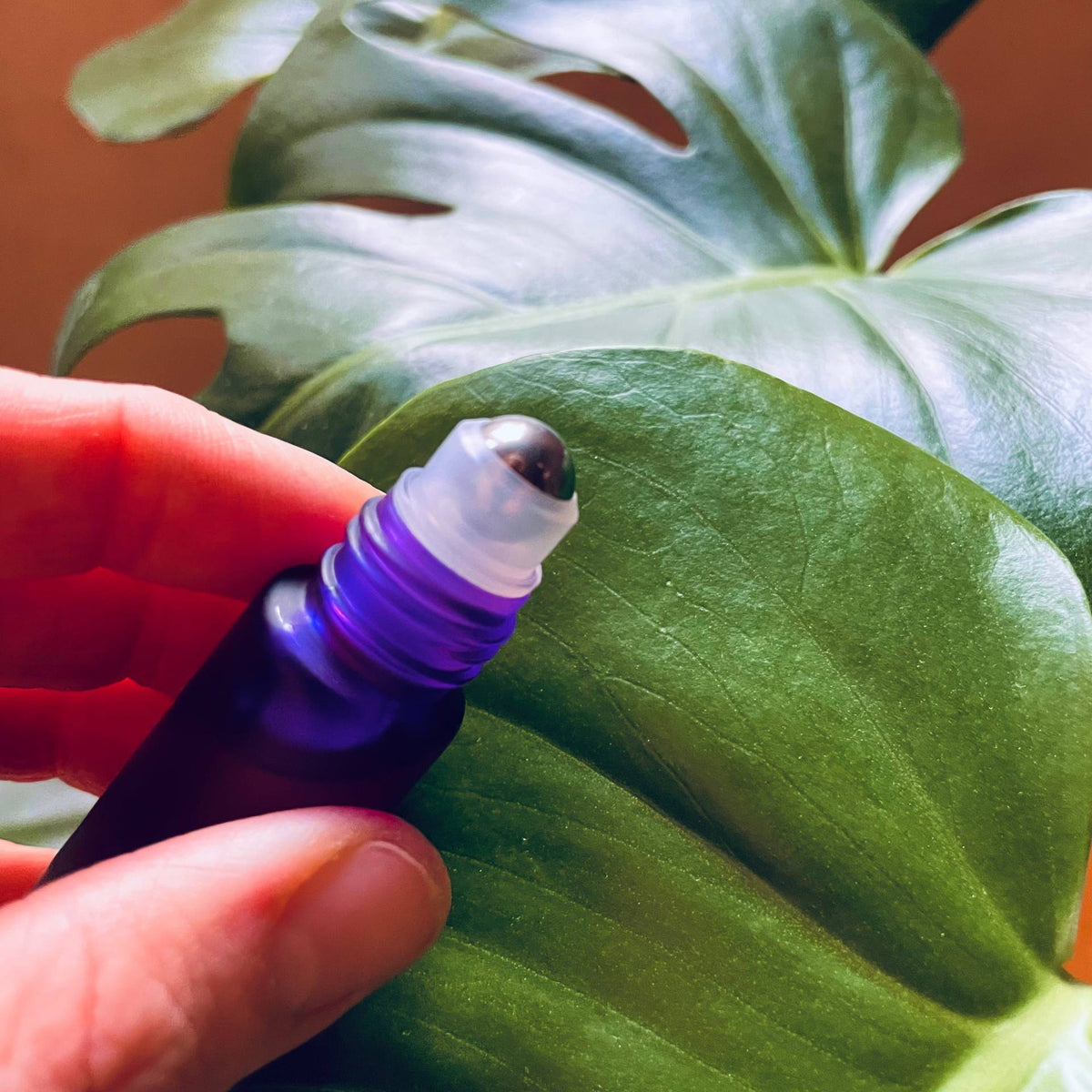 Duft Roll-On "Coastal Glow" 10ml - Tropical Tribe