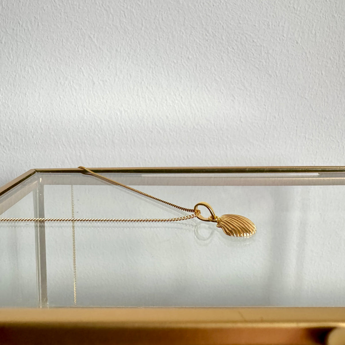 Süße Kette mit Muschel Anhänger ✨ vergoldet - Tropical Tribe