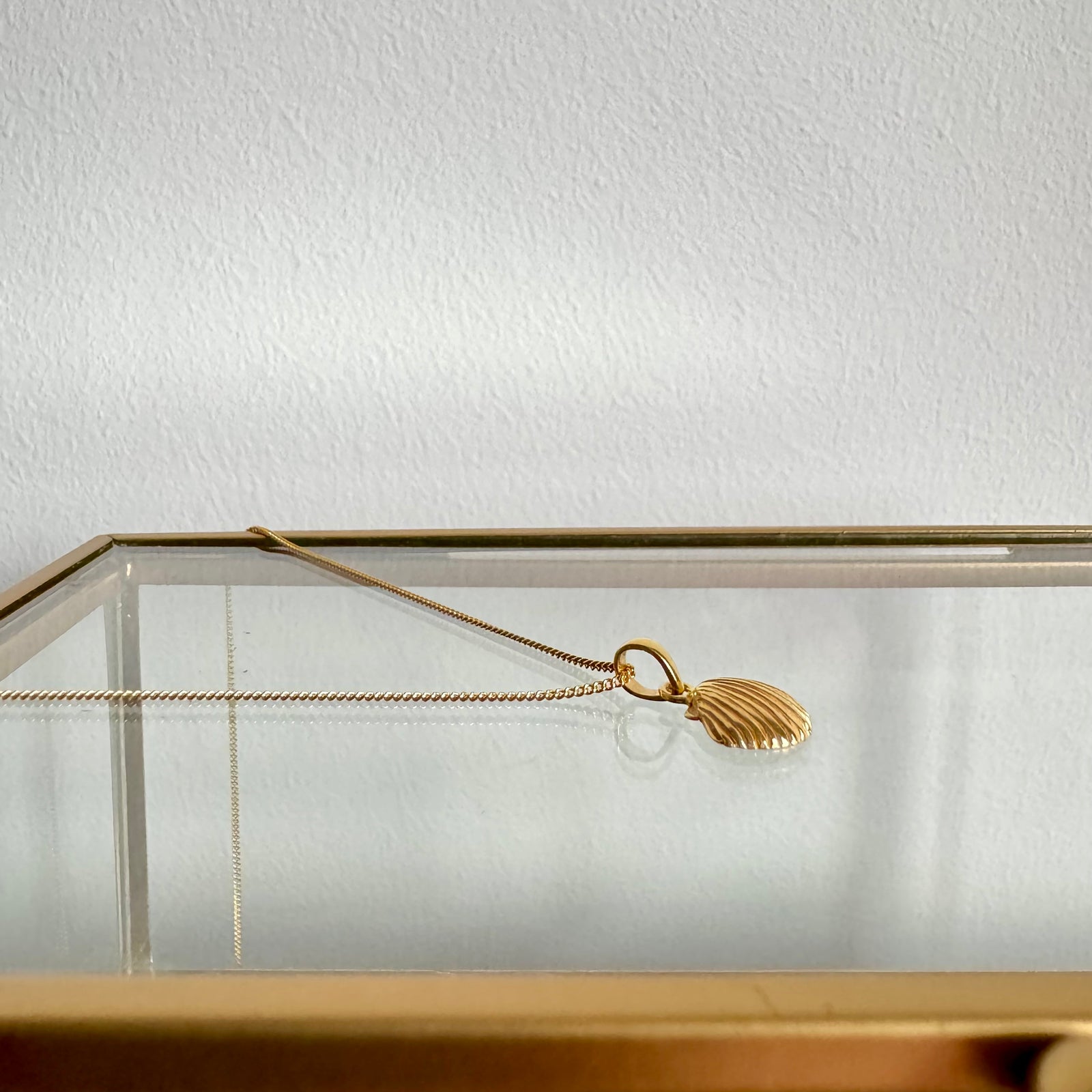 Süße Kette mit Muschel Anhänger ✨ vergoldet - Tropical Tribe