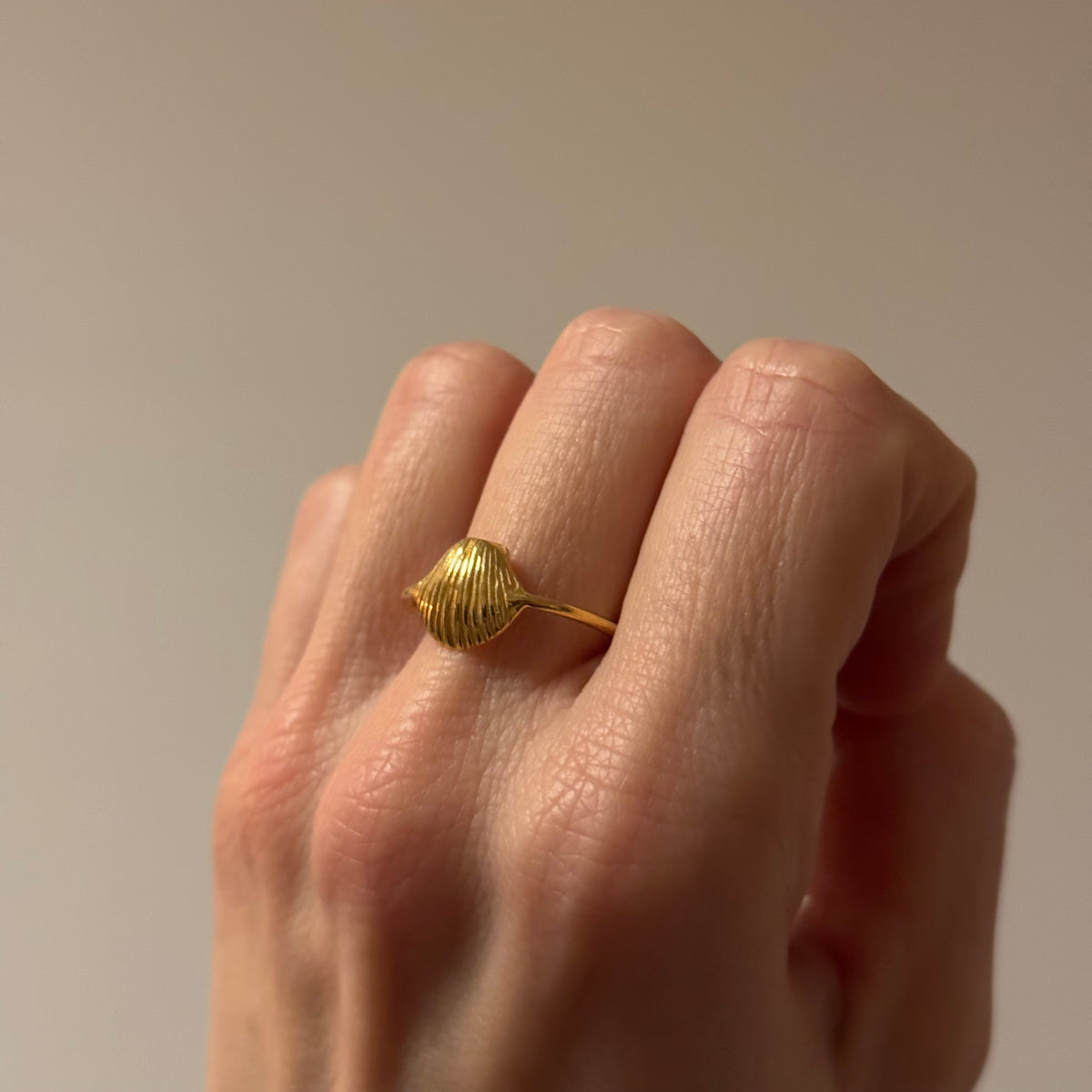 Muschel Ring ✨ vergoldet - Tropical Tribe