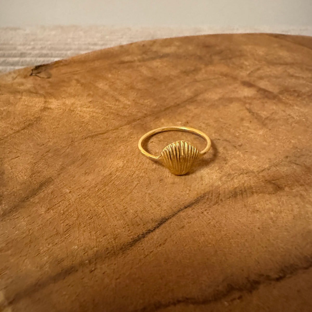 Muschel Ring ✨ vergoldet - Tropical Tribe