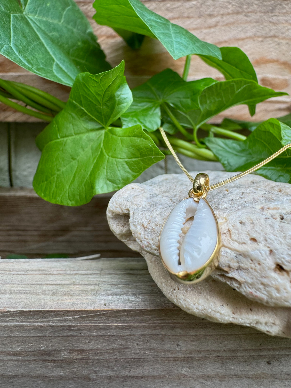 Kette mit Cowrie Muschel ✨ vergoldet - Tropical Tribe