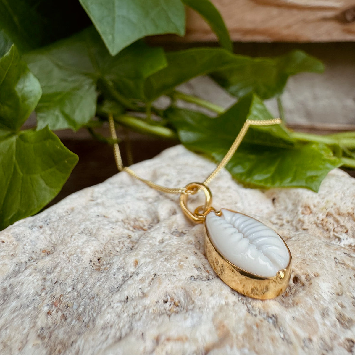 Kette mit Cowrie Muschel ✨ vergoldet - Tropical Tribe