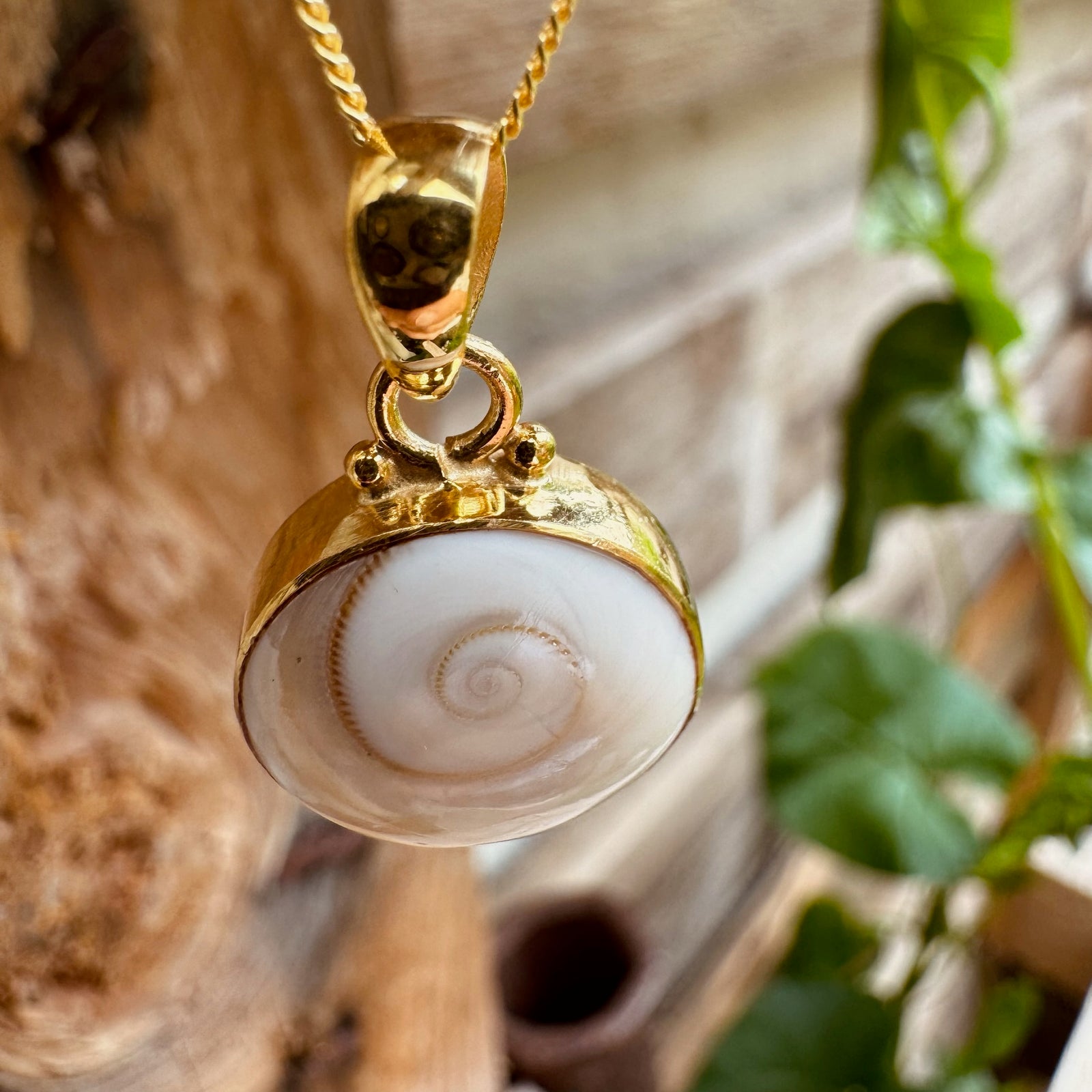 Kette mit Shiva Muschel Anhänger ✨ vergoldet - Tropical Tribe