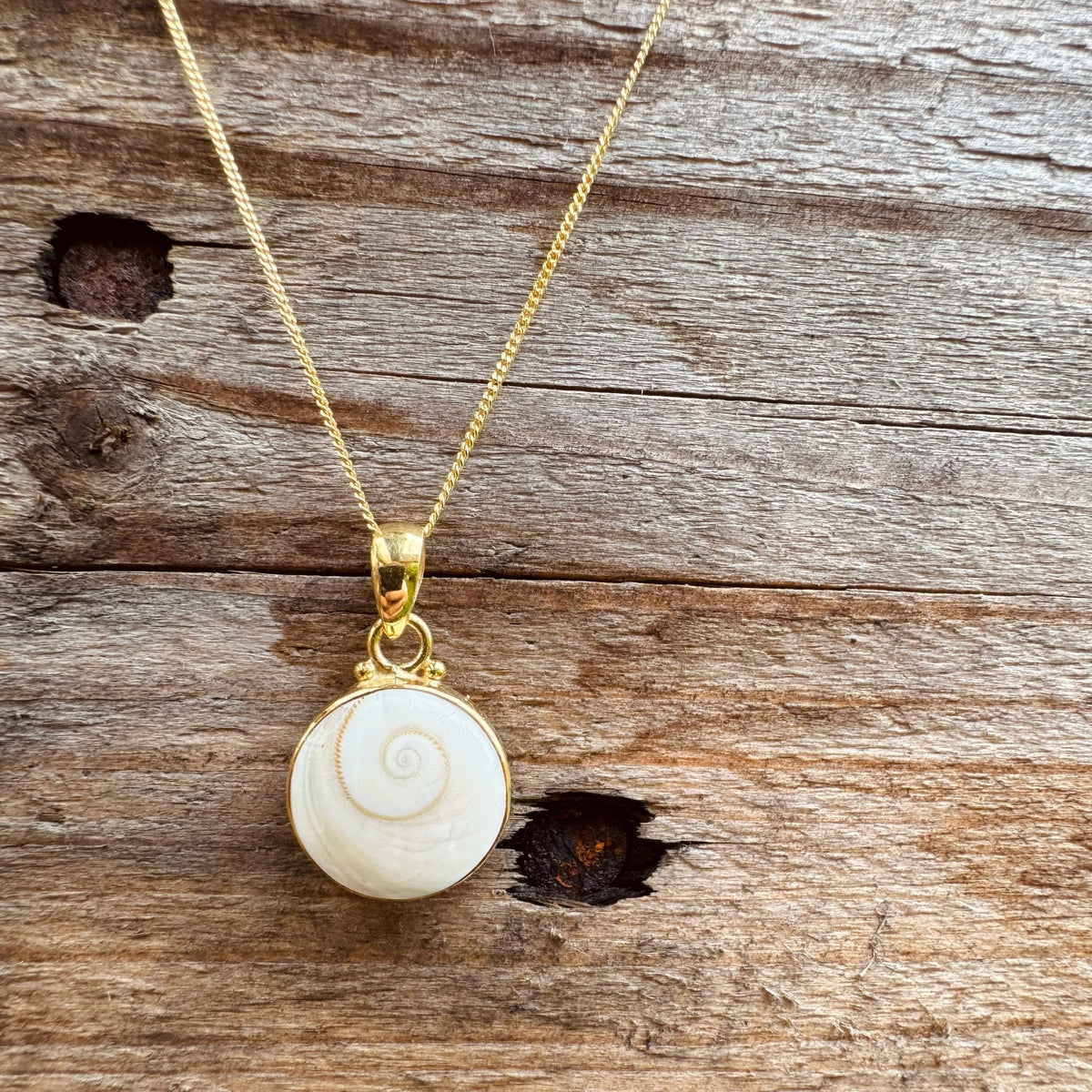 Kette mit Shiva Muschel Anhänger ✨ vergoldet - Tropical Tribe