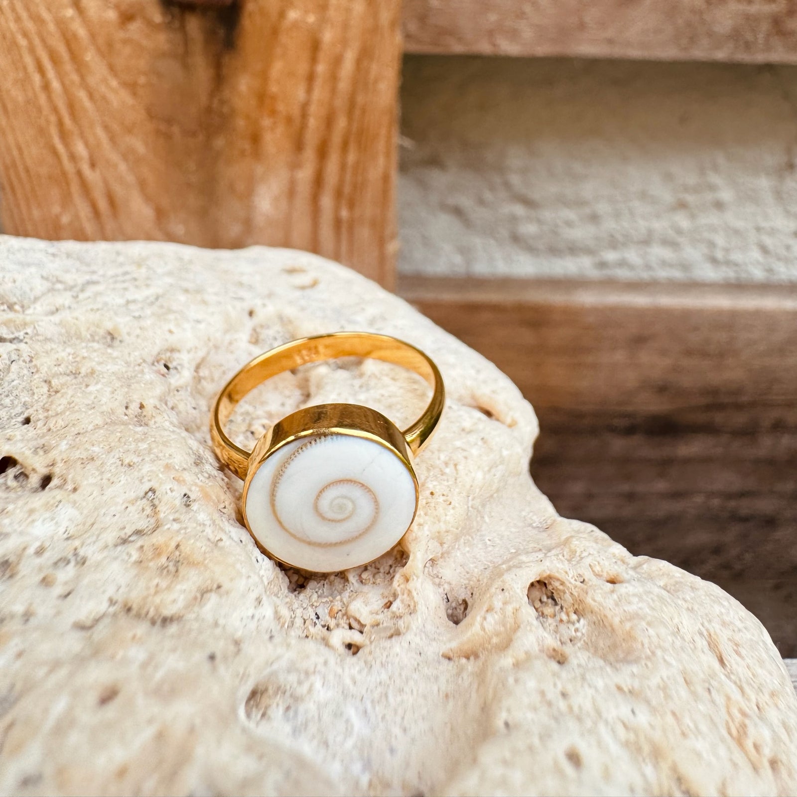 Ring mit wunderschöner Shiva Muschel ✨ vergoldet - Tropical Tribe