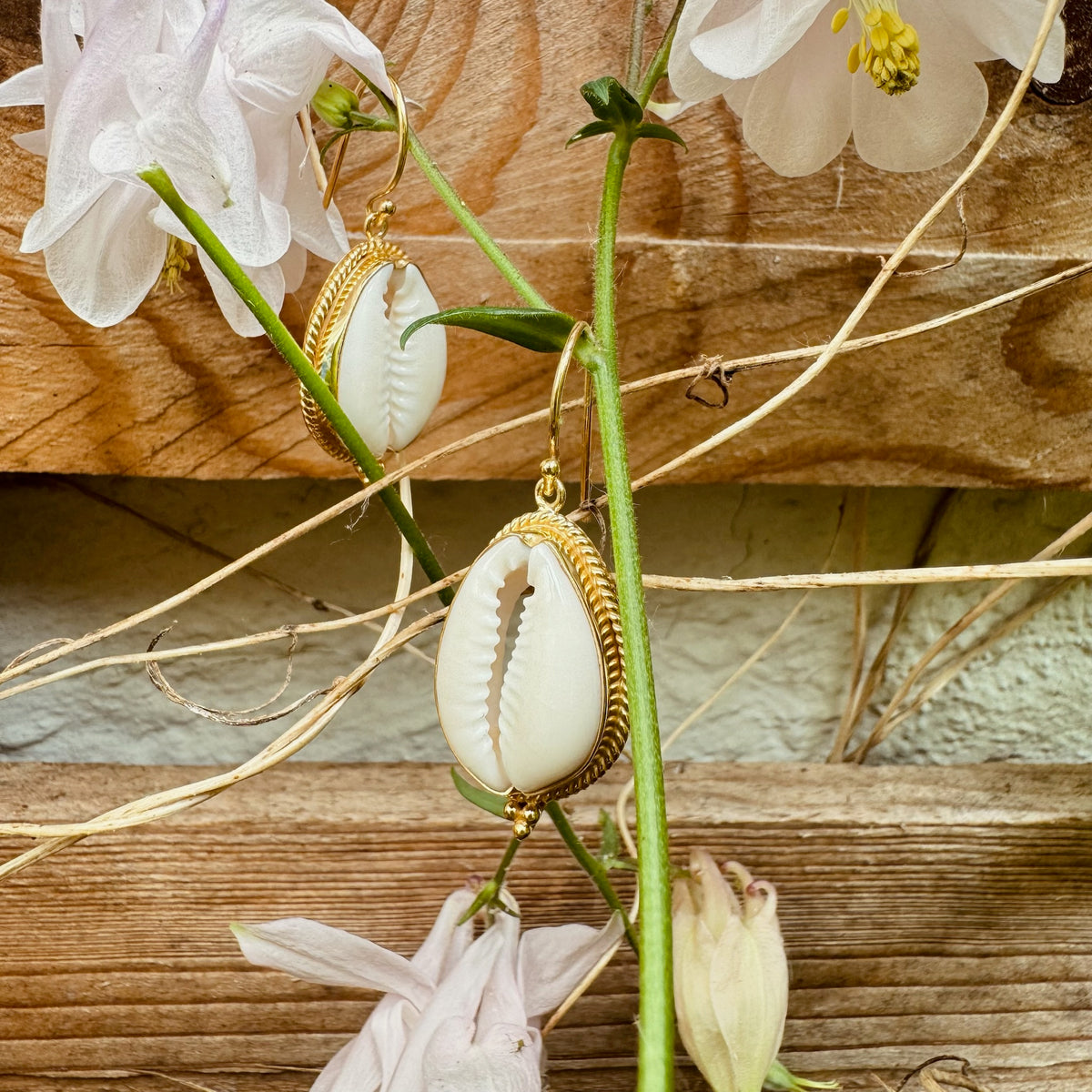 Boho Cowrie Muschel Ohrhänger ✨ vergoldet - Tropical Tribe