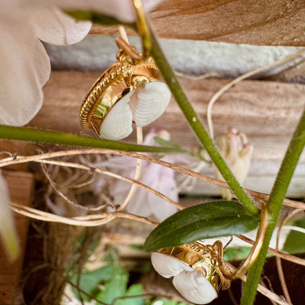Boho Cowrie Muschel Ohrhänger ✨ vergoldet - Tropical Tribe