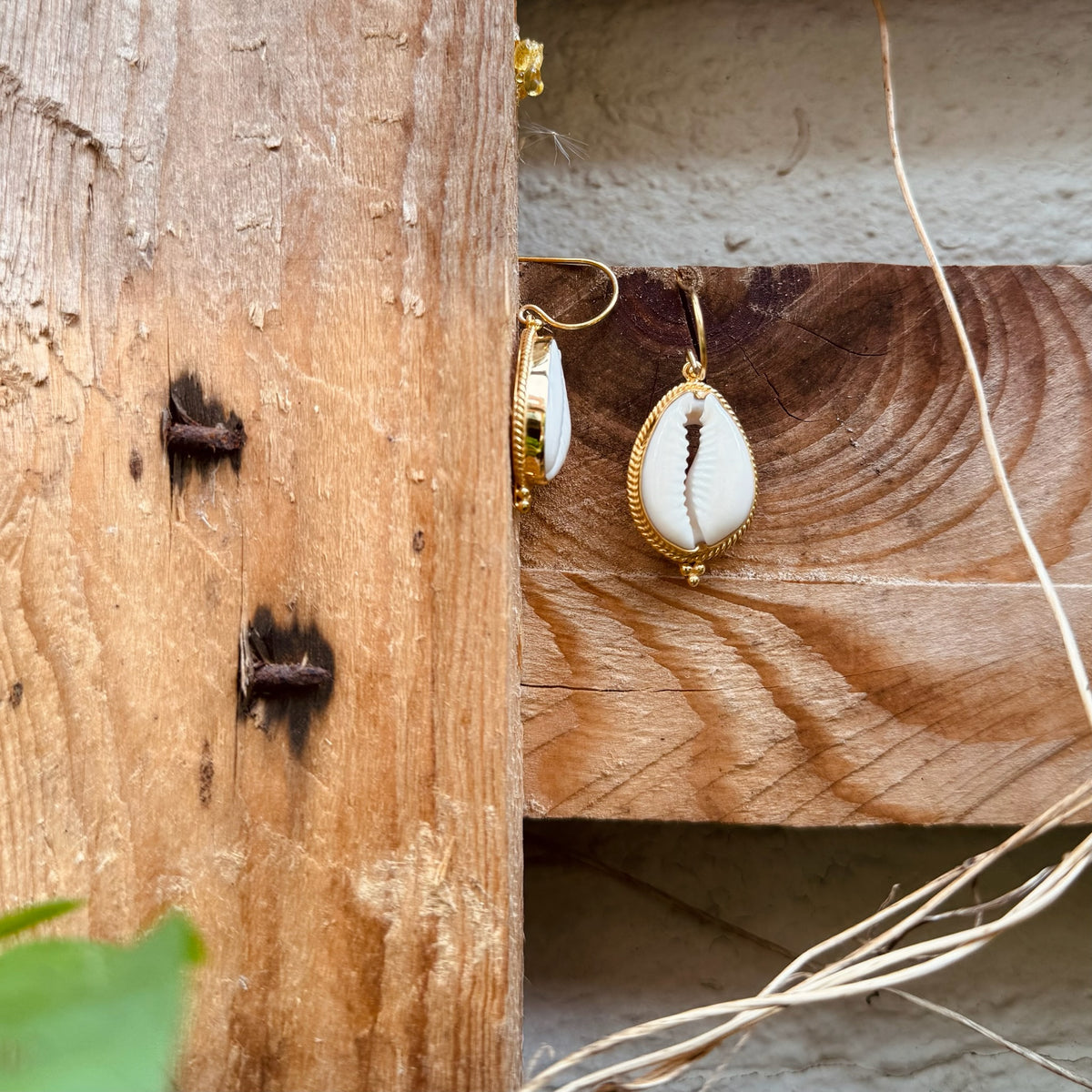 Boho Cowrie Muschel Ohrhänger ✨ vergoldet - Tropical Tribe