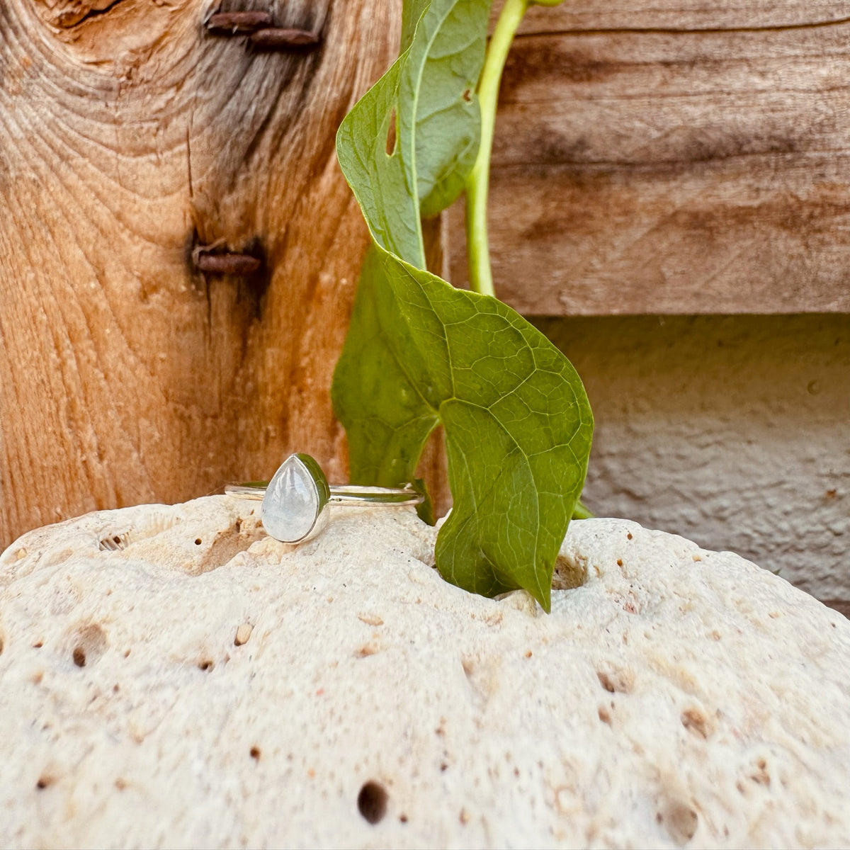 Ring mit tropfenförmigem Mondstein - Tropical Tribe