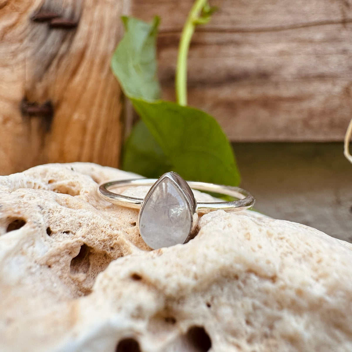 Ring mit tropfenförmigem Mondstein - Tropical Tribe