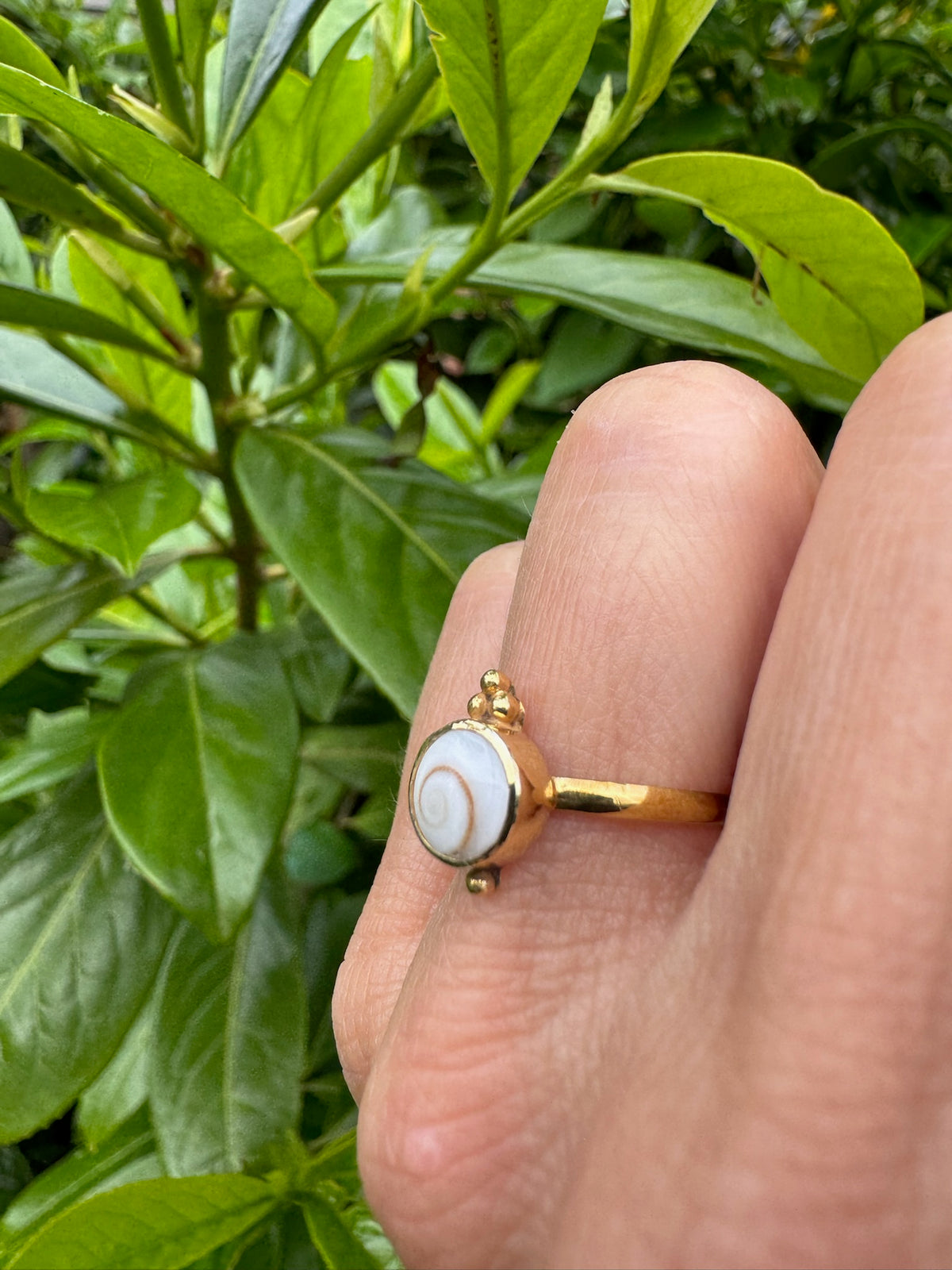 Ring mit kleiner Shiva Muschel und Perlen ✨ vergoldet - Tropical Tribe