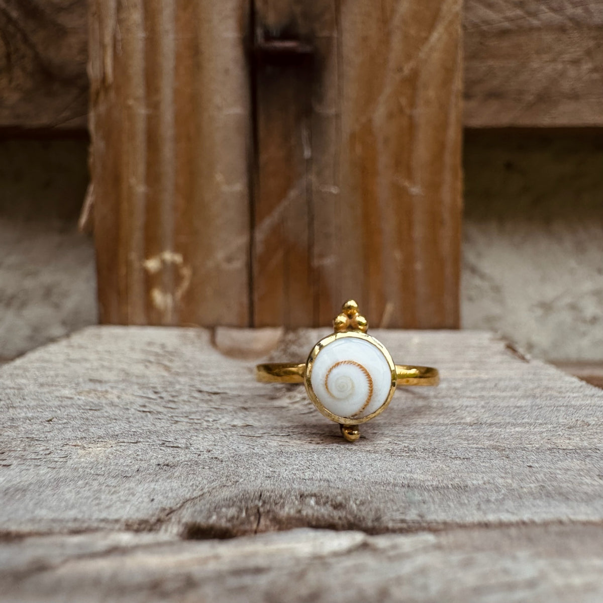 Ring mit kleiner Shiva Muschel und Perlen ✨ vergoldet - Tropical Tribe