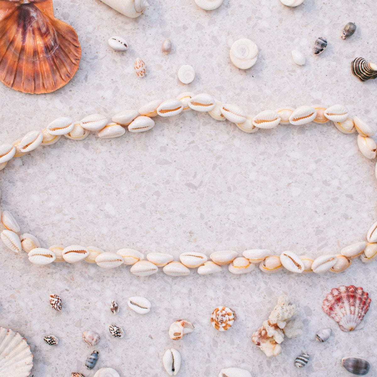 Lange Cowrie Muschel Kette - Tropical Tribe