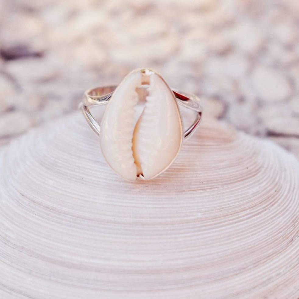 Schlichter Cowrie Muschel Ring - Tropical Tribe